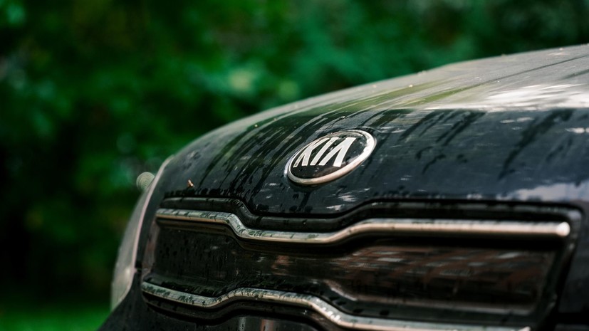 Посол Южной Кореи заявил об интересе Hyundai и Kia к рынку России