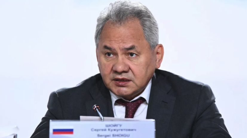 Шойгу прибыл в Индию на встречу представителей стран БРИКС