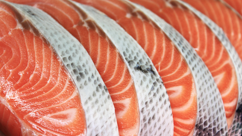 Глава ЕК: ЕС может запретить импорт рыбной продукции из России