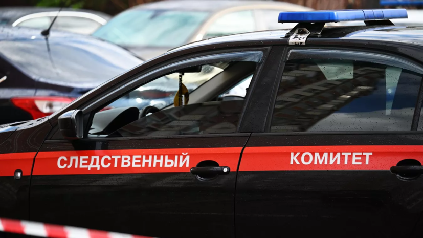 СК: пропавшая в Пущино девочка найдена живой в Старой Купавне