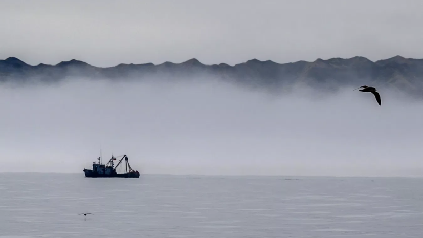 Посольство: моряки с российских судов умерли в КНР по естественным причинам