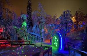 Арт-парк Таинственный лес (Mysterious forest) — Россия | Место № 7 Арт-парк Таинственный лес (Mysterious forest) — Россия | Место № 7