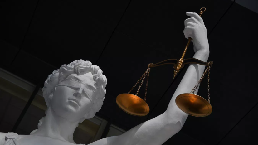 Суд арестовал сына доцента МГУ по делу об её убийстве