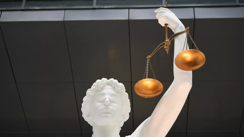 Суд дал 12 лет жителю Ленобласти за попытку присоединиться к террористам Украины