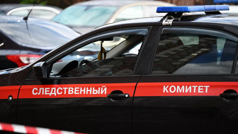 В Минприроды Красноярского края прошли обыски после нападений медведей на людей