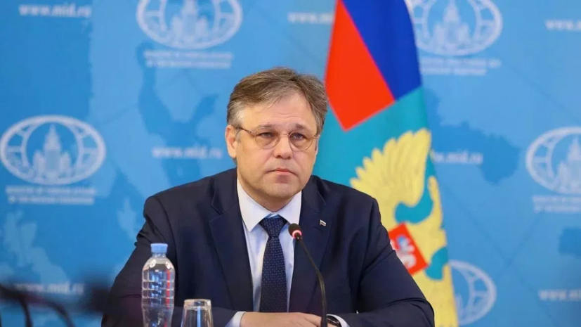 Мирошник заявил, что Литва возмутилась его присутствием в СПЧ ООН